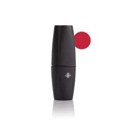 Labial Mate Roby de Alta Cobertura y Color Intenso Aterciopelado