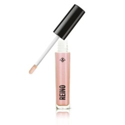 Brillo Labial Gloss Shinny Efecto Volumen 3D Hidratante